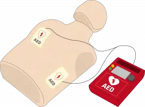 Asset-4@3x-300x221